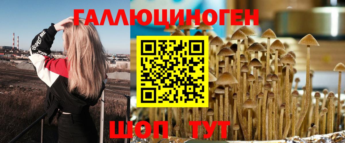 Галлюциногенные грибы мицелий Бийск