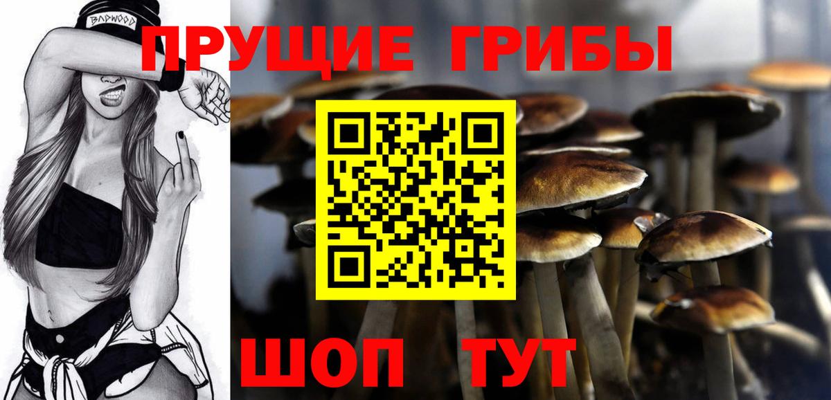 Бийск  Галлюциногенные грибы Magic Shrooms  Псилоцибиновые грибы мухоморы  Вход с VPN 